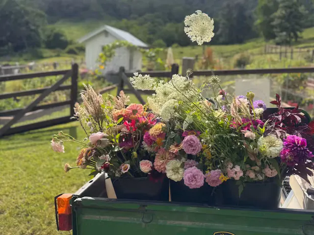 Macadamia Floral Farm — new Brisbane floristry workshop The Bloom Experience, $250 per person, hands-on flower arranging class
